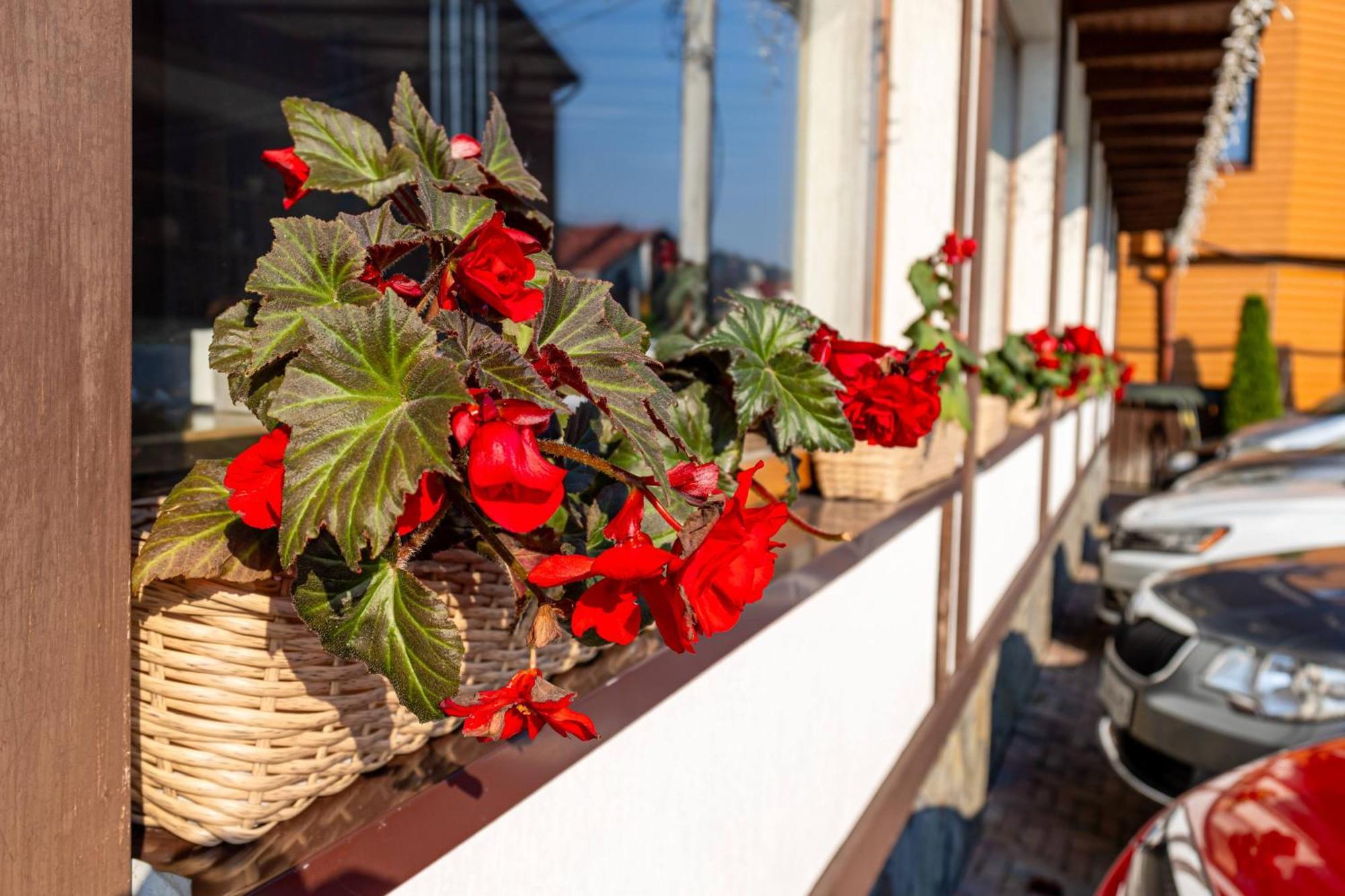 La Кrechunu Hotel Буковел Екстериор снимка